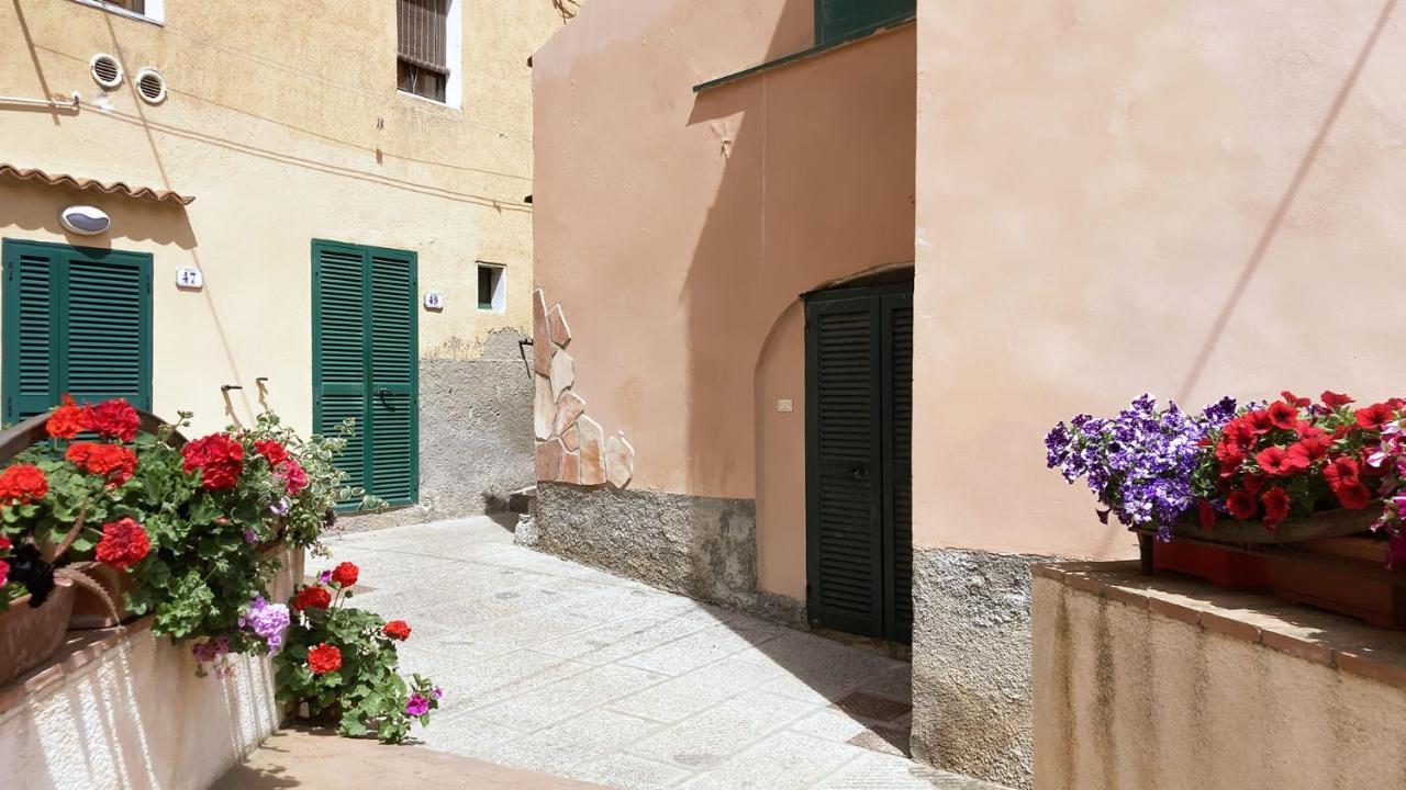 La Casa Di Rosa - Argonautivacanze Rio Marina Exterior photo